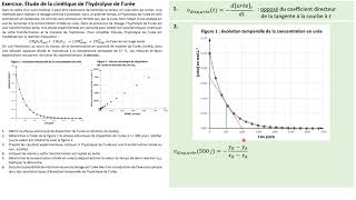 TERMspé Exercice  cinétique de lhydrolyse de lurée [upl. by Maram854]
