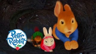 OfficialPeterRabbit  Tales of Family amp Friendship  ActionPacked Adventures  Wizz Cartoons [upl. by Acirrej]