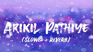 Arikil Pathiye  Najeem Arshad  Sangeetha Sreekanth  Slowed Reverb  Lyrics video [upl. by Bouchier]