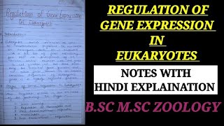 REGULATION OF GENE EXPRESSION IN EUKARYOTES HINDI EXPLAIN regulationingeneexpressionineukayote [upl. by Schellens]