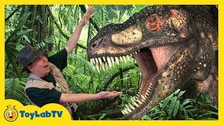 Giant Life Size Dinosaur amp Raptor Chase at Discover the Dinosaurs Jurassic Event for Kids [upl. by Baxy]