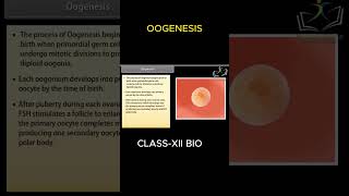 Class 12 Biology I OOGENESIS [upl. by Merci]