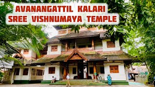 The Head Temple of all Vishnumaya Temples in KeralaAvanangattil Kalari  ആവണങ്ങാട്ട് കളരി 🙏🏻 2024 [upl. by Orrin37]