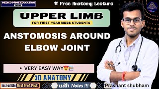 Anastomosis around the Elbow joint  Upper Limb Anatomy  Medico Prime Education mbbs [upl. by Viviana]