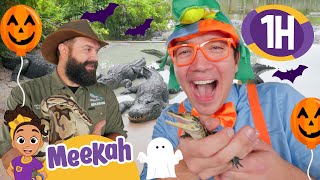 Blippi amp Meekah’s Halloween Fun Monster Trucks amp Spooky Hunts 🎃🚚  1 HR OF MEEKAH [upl. by Sherman]