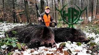 Sauen im Schnee Drückjagd mit den Hunter Brothers [upl. by Sparrow]