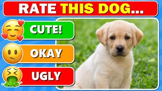 Dog Tier List 🐶 Rate the TOP 51 DOG BREEDS 🐕🐾 [upl. by Nohsyt700]