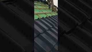 The right tile roofing cake  ARTEM REGART roof molddetection waterproof [upl. by Hanej957]