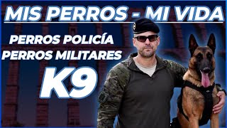 K9 PERROS Tácticos de COMBATE [upl. by Chiles329]