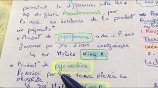 Tp systématique  famille des pseudomonadaceae  L3 microbiologie  🏨🧪 [upl. by Kirkwood]