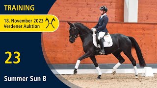 Verden Auction Online  Sporthorses  November 18  No 23 Summer Sun B by Secret  Finest [upl. by Trevor659]