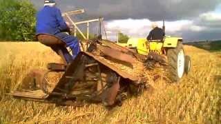 CUTTING AND THRESHING CORN POYNTZPASS 2013 [upl. by Spielman]