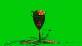 horror green screen effect video [upl. by Lennej]