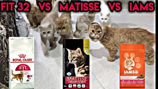 Matisse va royal canine fit 32 vs Iams  mid range premium food review [upl. by Sioled]