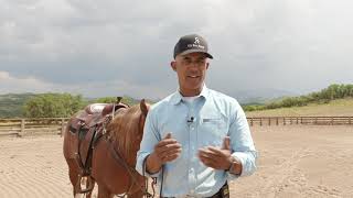 WHY THE FOOTING IS SO IMPORTANT FOR A REINING HORSE [upl. by Ancalin]