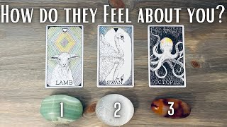 Their Current FEELINGS for You Pick A Card  in Depth Love Tarot Reading [upl. by Airahs]