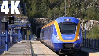 Trains Norrtåg X62 Husum Sweden 4K [upl. by Gilges921]