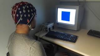 Neurofeedback session [upl. by Nepean450]