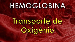 Como a HEMOGLOBINA transporta o oxigênio [upl. by Harol]