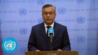 Myanmar on the situation in the country  Security Council Stakeout  United Nations [upl. by Kaufman576]