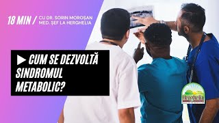 📊 Cum Se Dezvoltă Sindromul Metabolic p3  Dr Moroșan Sorin 2021 HERGHELIA [upl. by Libbey610]