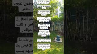 اكسبلور toeflللمزيد quran علمالنفس إسلامي انجليزي انجليزي معلومات ترند [upl. by Deanne762]