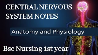 Central Nervous System CNS Explained  Anatomy for BSc Nursing 1st Year Students [upl. by Gaynor]