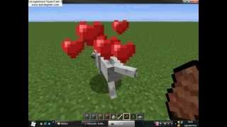 Como adestrar e cruzar Lobos no Minecraft [upl. by Mcripley]