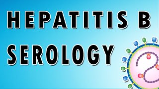 Hepatitis B Serology [upl. by Ammamaria]