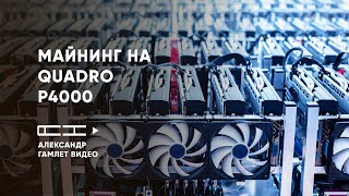 Майнинг на профессиональной видеокарте Quadro p4000  Александр Гамлет [upl. by Cheri]