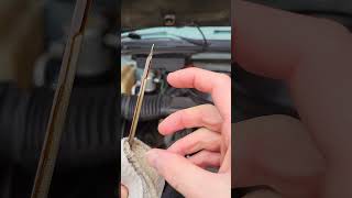 How To Check Dipstick amp Engine Oil  EASY [upl. by Nairim]