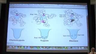 12 Biochemistry Catalytic Mechanisms I Lecture for Kevin Aherns BB 450550 [upl. by Ambrose]