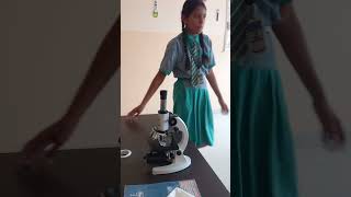 Compound Microscope Experiment [upl. by Gairc404]