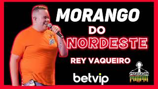 Rey Vaqueiro  Morango do nordeste [upl. by Eletnahs]