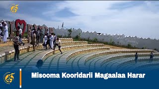 Misooma Kooridarii Magaalaa Harar [upl. by Ayojal]