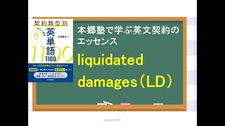 第29回 liquidated damagesとは？納期遅延LDとは何か？ [upl. by Agee835]