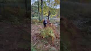 Beaver trapping with Jim Comstock [upl. by Betteann683]