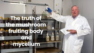 The truth of the mushroom fruiting body and mycelium [upl. by Nairrod974]