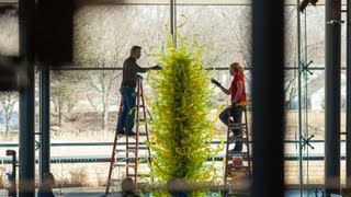 Chihuly Fern Green Tower Time Lapse [upl. by Jo-Anne528]