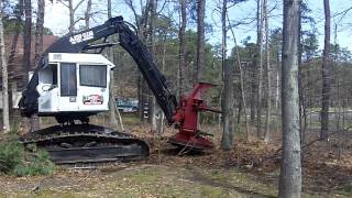 Amazing Tree Removal Feller Buncher Excavator  Tree Clearing [upl. by Eittah]