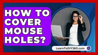 How To Cover Mouse Holes  LearnToDIY360com [upl. by Kandy]