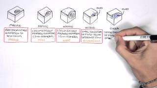 Dermatology  Lesion Terminology [upl. by Ecidnac889]