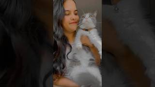 Who’s the clumsiest 😂❤️🧿 cat catvideos funny funnycatvideos [upl. by Oreste]