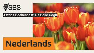 Astrids Boekencast De Bolle Gogh  SBS Dutch  SBS Nederlands [upl. by Tedman]