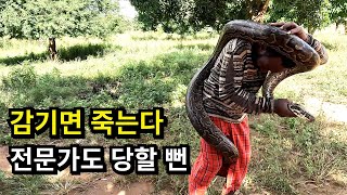 뱀 헌터도 감당하기 힘든 거대 뱀 다큐멘터리 documentary africa [upl. by Esirahs]