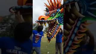 THE BIGEST DRAGON KITE FROM INDONESIAN [upl. by Brower]