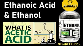 Esterification amp Saponification Chemistrys Soapy Secrets [upl. by Cnahc172]