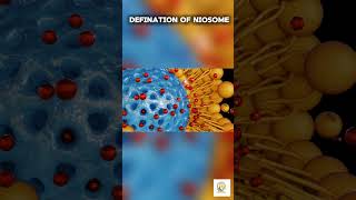 Definition of Niosomes  By Prof Ashish Baldi [upl. by Fredela701]