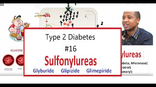 How Sulfonylureas Work with Pros and Cons  Glyburide Glipizide Glimepiride Type 2 Diabetes16 [upl. by Tarrah253]