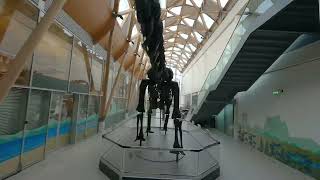 Dippy in Coventry [upl. by Prager]